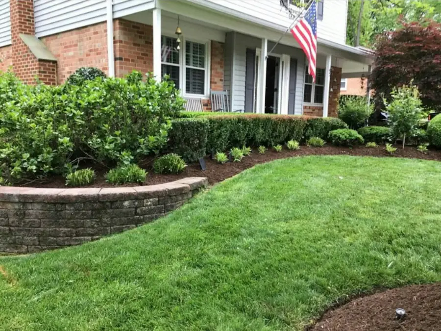 After: Cut, edged and tidy