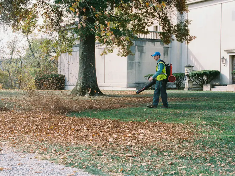 seasonal cleanup job